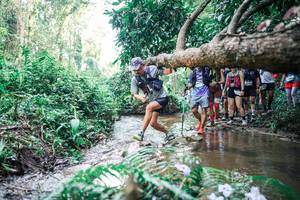 BIB: 
                            <button type="button" onclick="openModal(25469561)" class="btn btn-primary btn-sm float-right btn-popup" data-toggle="modal" data-target=".modal-high-quality">
                        <i class="fas fa-shopping-cart"></i> Add to Cart
                    </button>
                                            <button type="button" onclick="isThisMe(25469561, true)" class="btn btn-success btn-sm float-right btn-popup btn-isme hidden" data-toggle="tooltip" data-placement="bottom" title="นี่คือรูปของคุณใช่ไหม คลิกที่นี่เพื่อเอาเข้าอัลบั้ม">
                        <i class="fas fa-plus"></i> Add to album
                    </button>
                    <button type="button" onclick="isThisMe(25469561, false)" class="btn btn-warning btn-sm float-right btn-popup btn-isnotme hidden">
                        <i class="fas fa-ban"></i> Remove from album
                    </button>